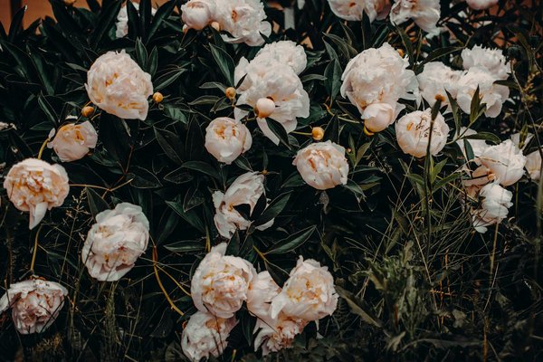 Machines à Sous Gratuits Avec Jeux De Gounds Bonus