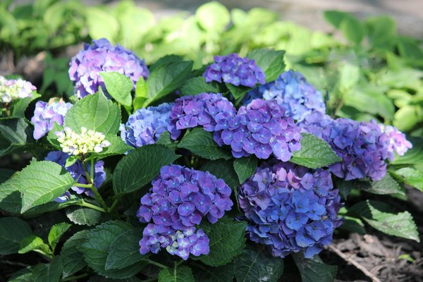 Casino Roulette En Ligne Suisse