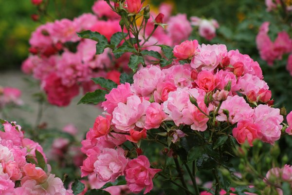 Technique Pour Gagner à La Roulette En Ligne