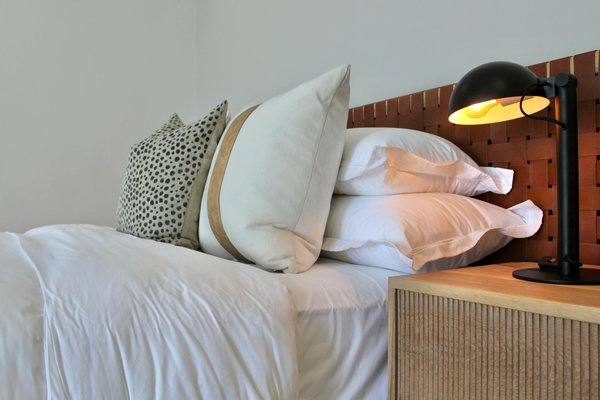 Rakoo Casino 50 Free Spins