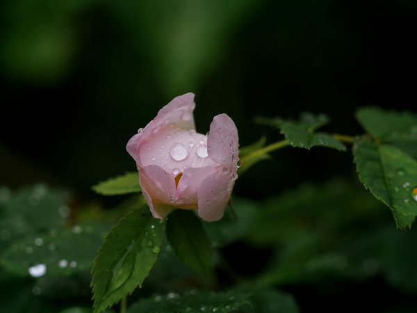 Machines à Sous Jouent Gratuitsment En Ligne