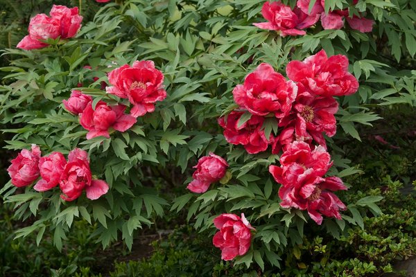 Résultat Du Keno De Midi