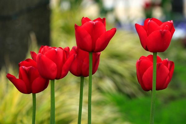 Technique Du Blackjack