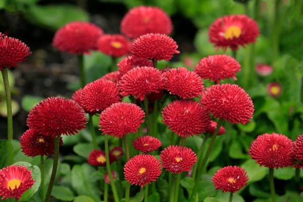 Règle Casino Machine à Sous