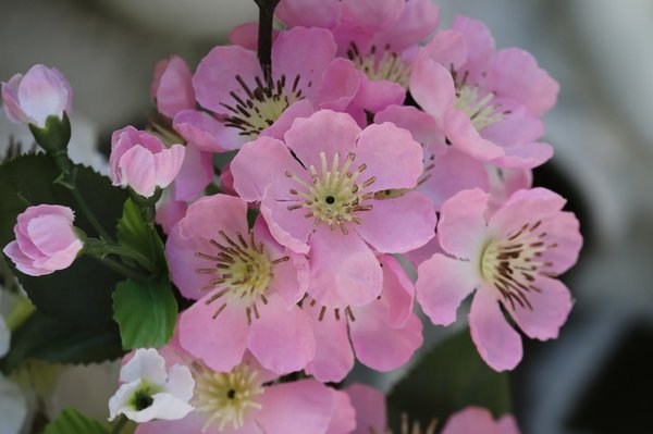 Plante artificielle : quand tradition et innovation fusionnent en décoration intérieure