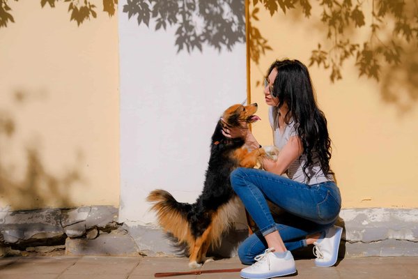 La fusion de tradition et d'innovation dans la décoration intérieure : l'essor des plantes artificielles